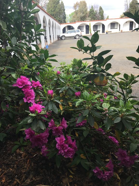 Azalea Motel Кунабарабран Екстер'єр фото